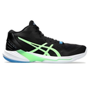 ASICS Sky Elite FF 2